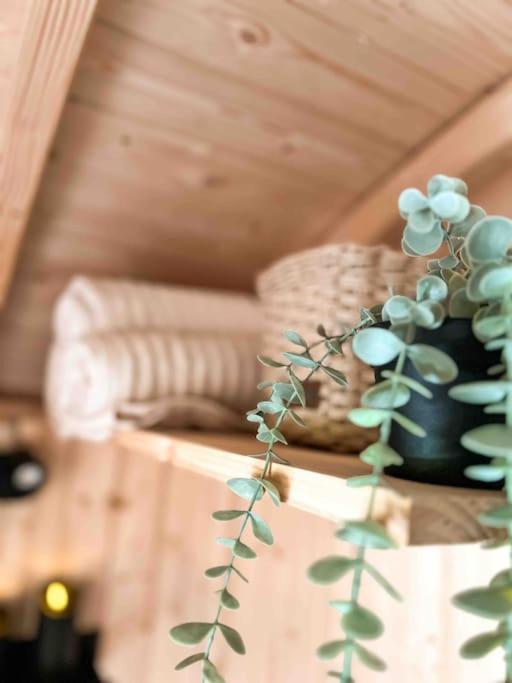 Roulotte „douceur“ Chalet *